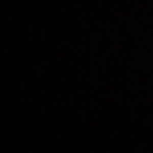 Meet your Posher, Tiesen